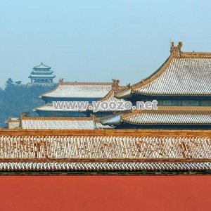 传奇永恒神兽升级是否会受到其他玩家的竞争？