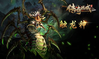1.76精品传奇里暴牙蜘蛛为何使得法师非常厌恶