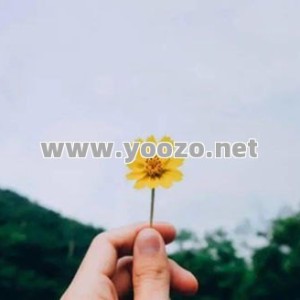 传奇私服轻变回坑以后散人时第一张图该选哪里