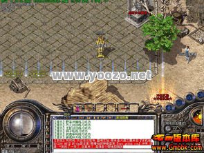 单职业发布网页sf传奇有哪些活动？